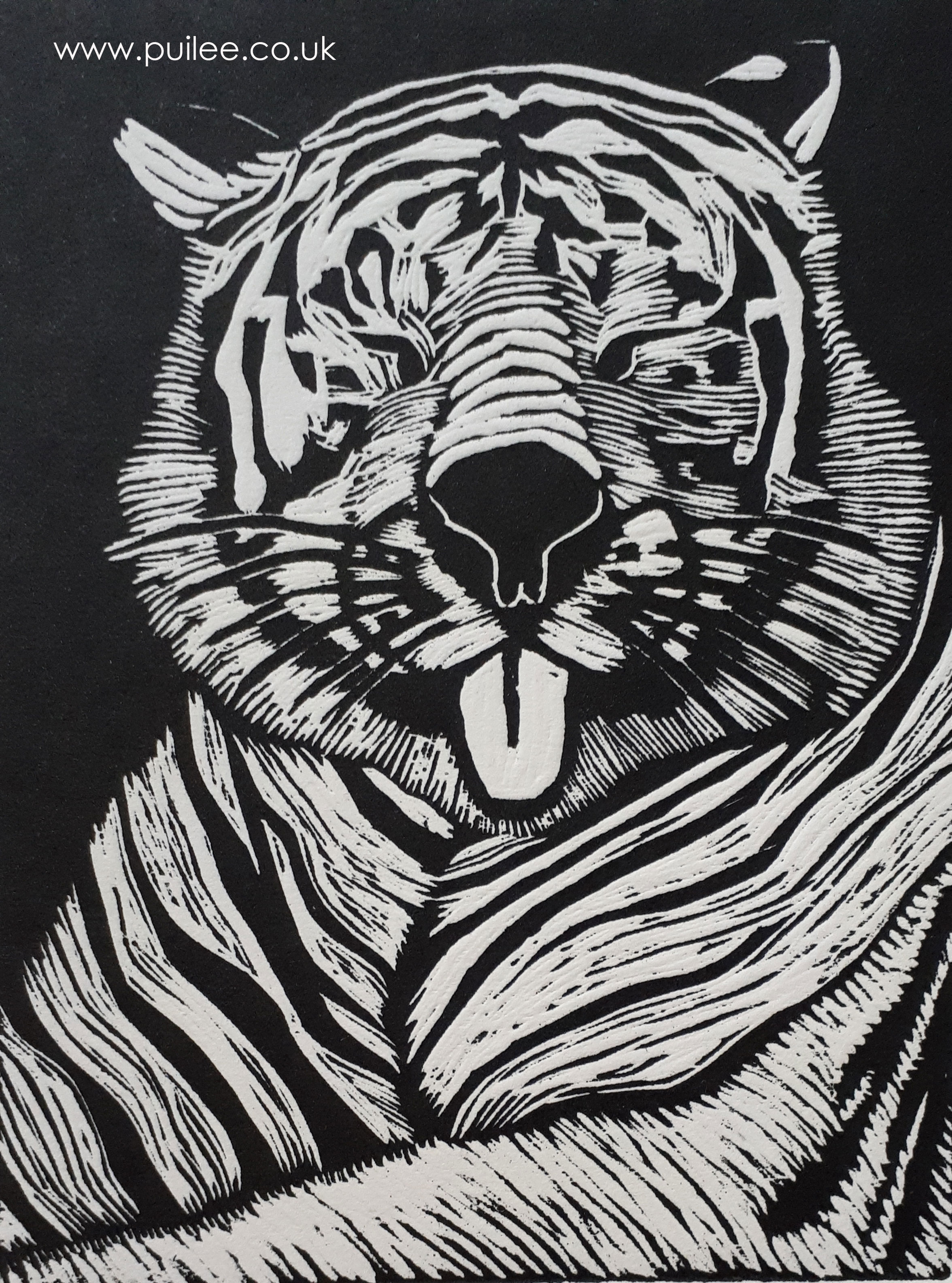 Animal Antics: Tiger (2018) woodcut on Fabriano - Pui Lee