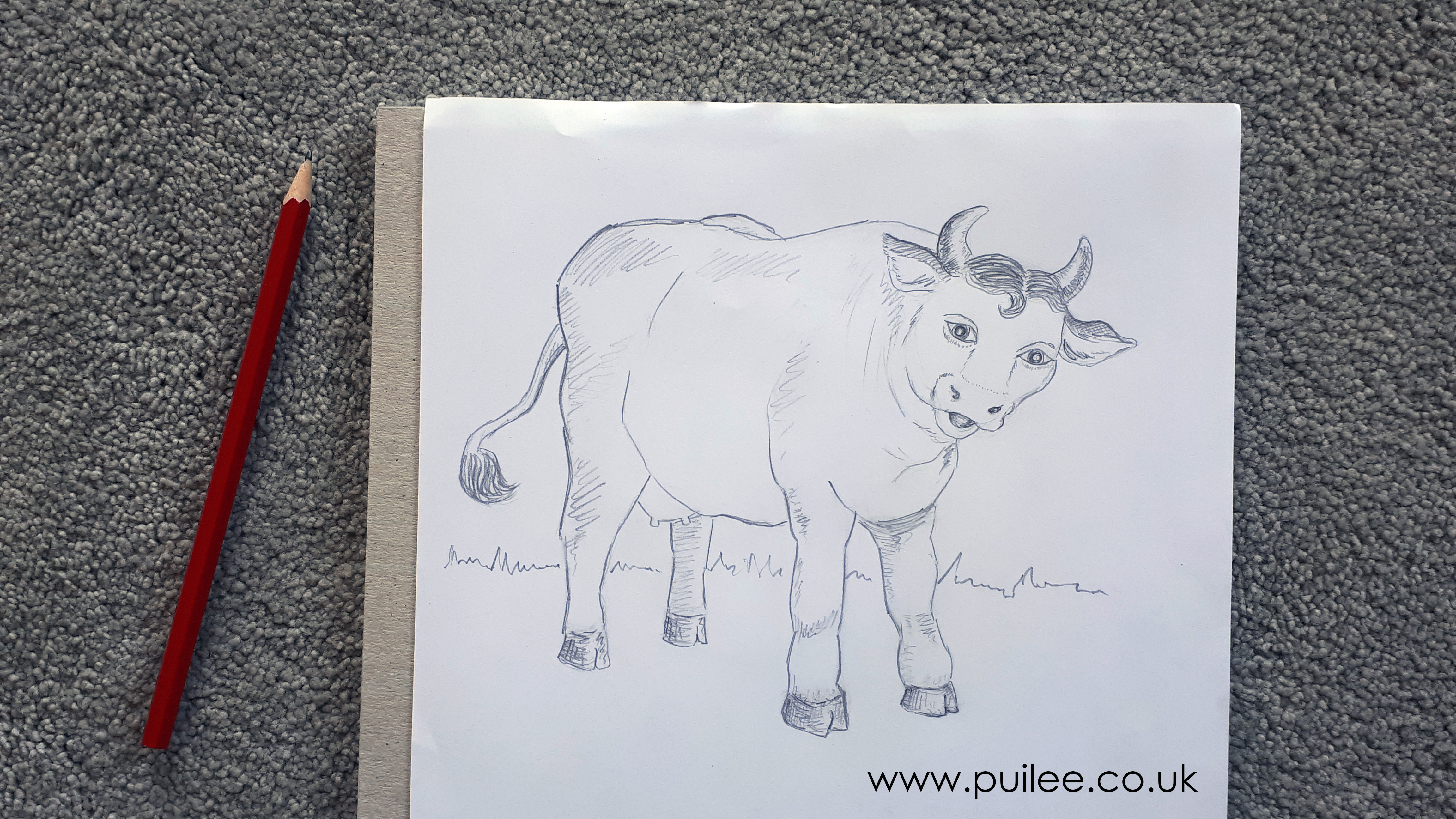 Cow (2020) pencil on paper - Artist Pui Lee