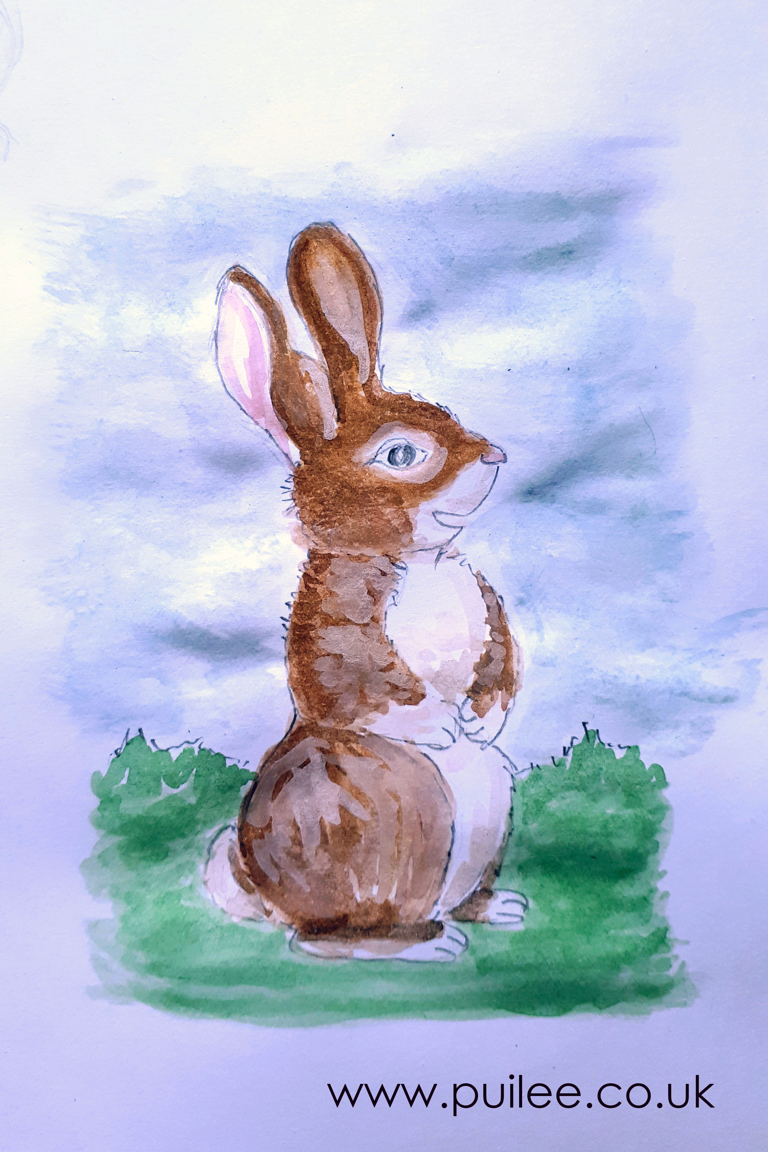 Bunny (2020) pencil and watercolour on paper - Artist Pui Lee