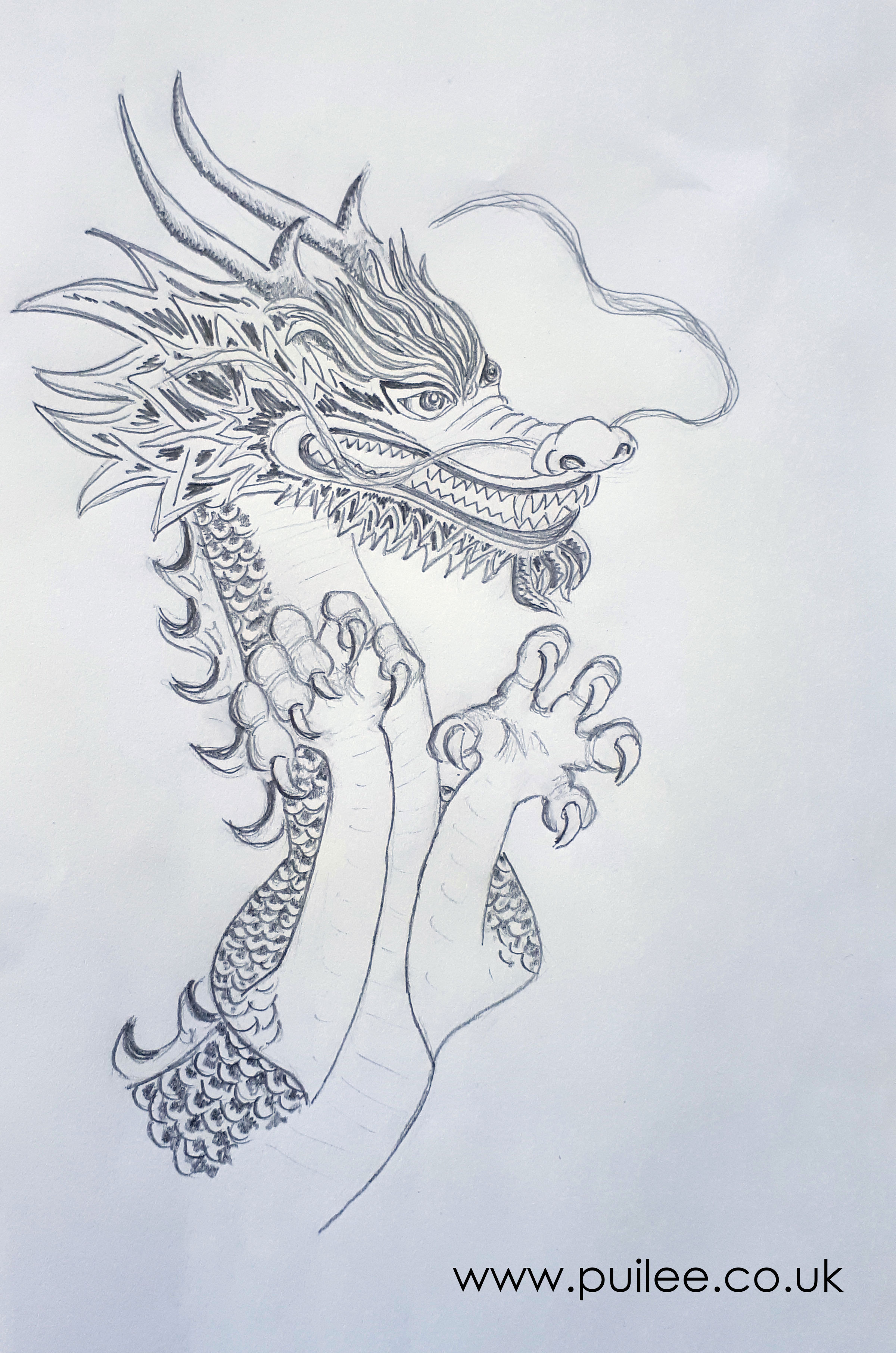 Chinese Dragon (2020) pencil on paper - Artist Pui Lee