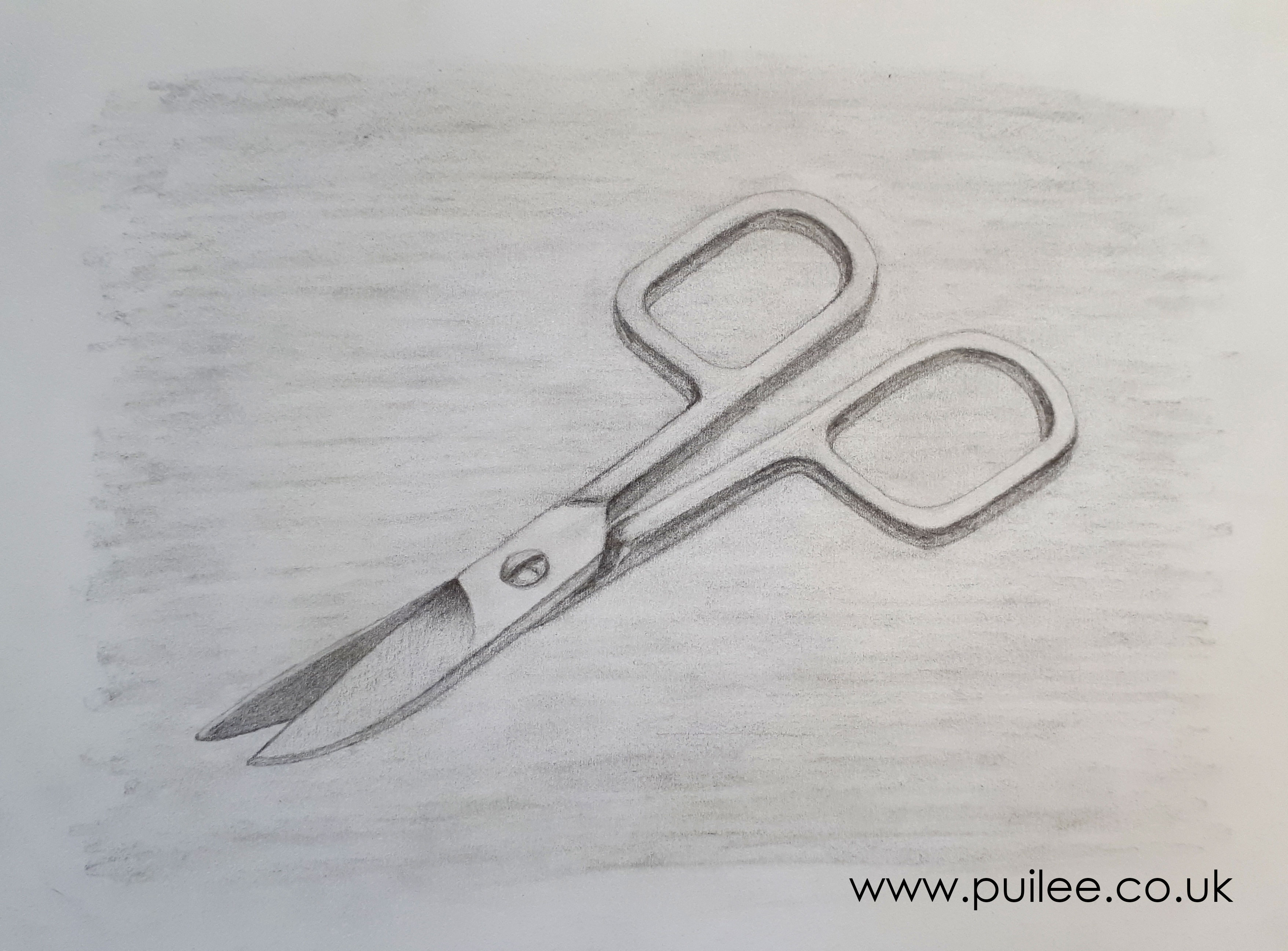 Nail Scissors (2020) pencil on paper - Artist Pui Lee