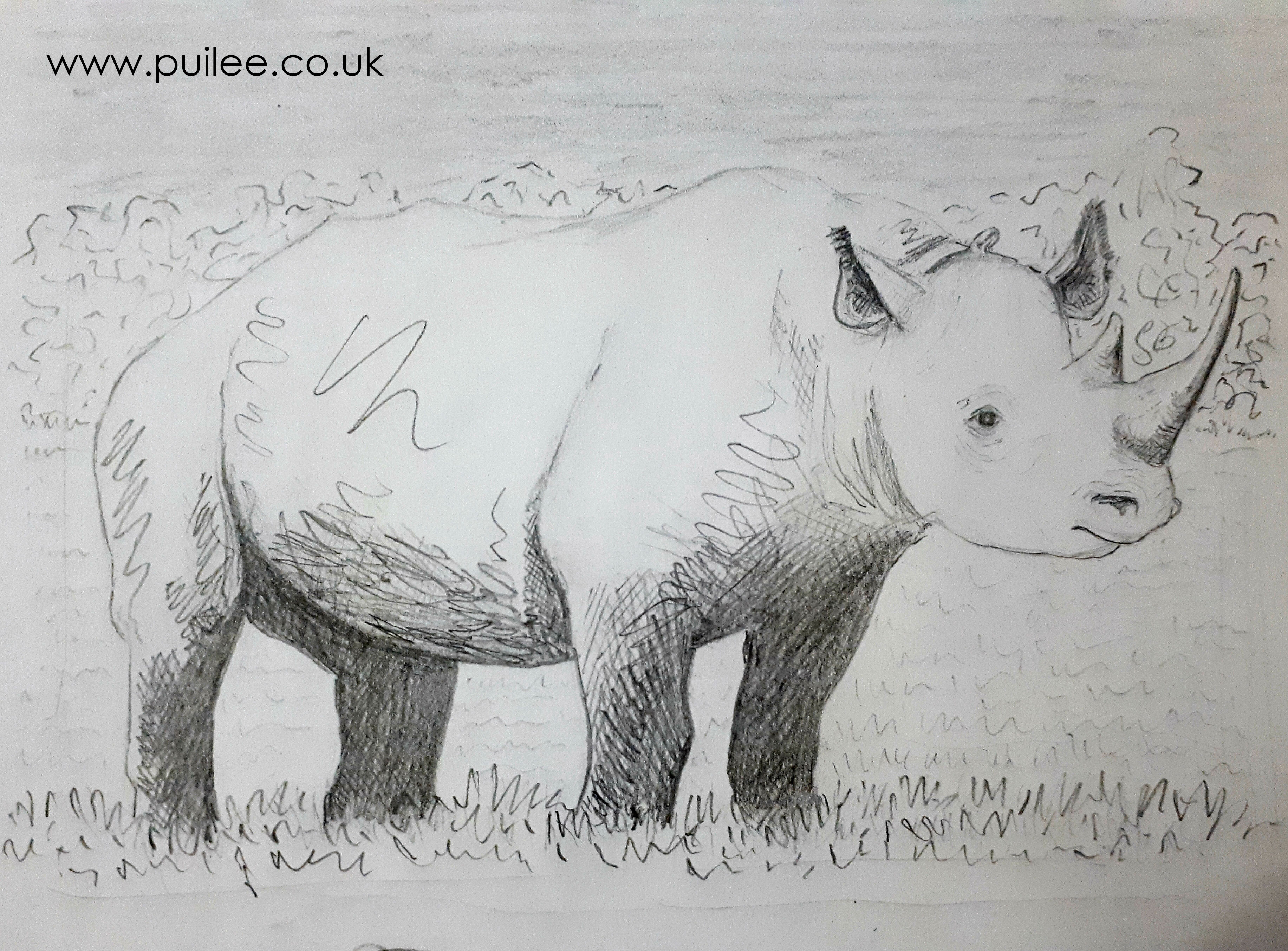 Rhino (2020) pencil on paper - by Artist Pui Lee
