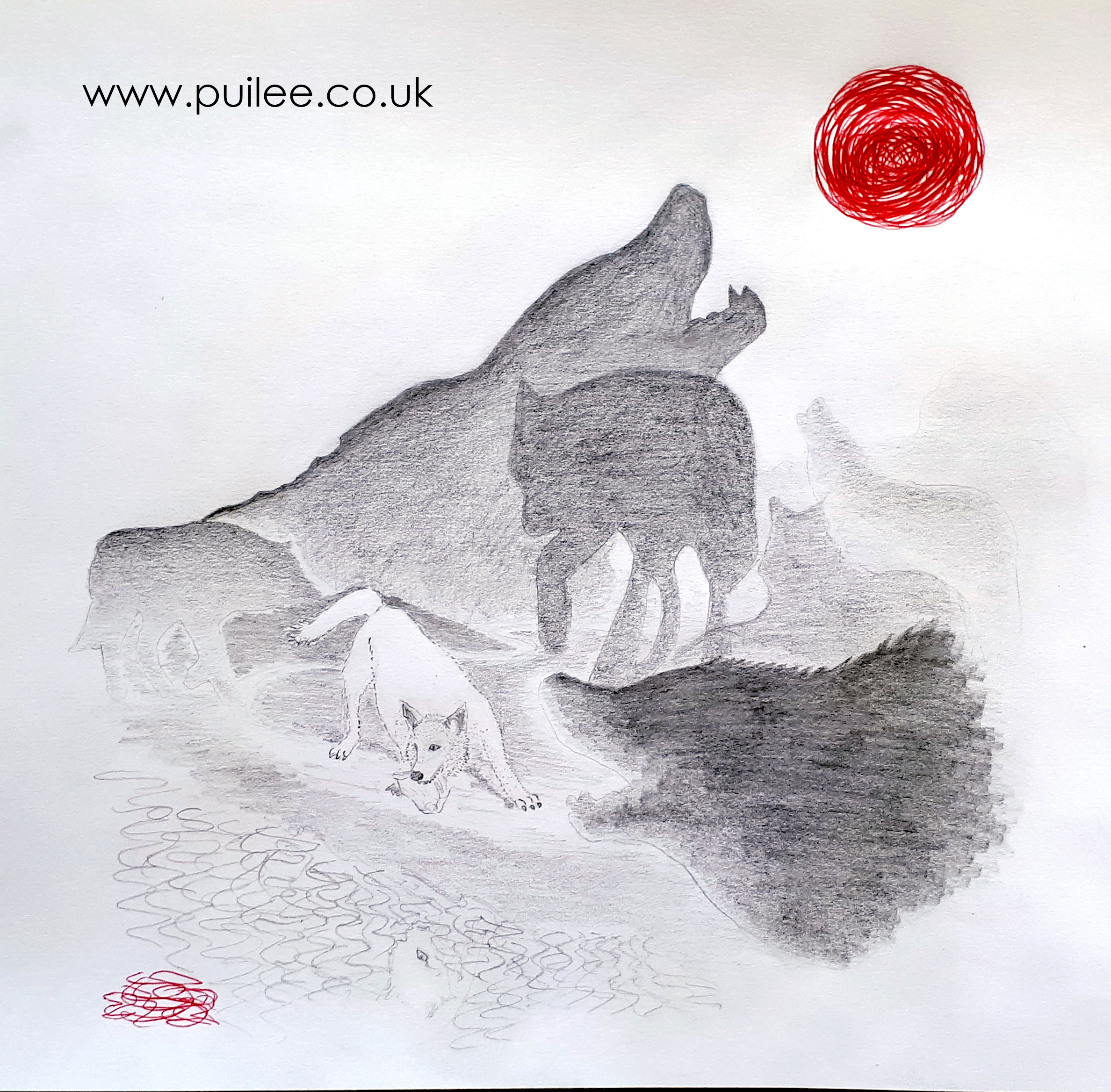 Wolf Spirit (2020) pencil and biro on paper - by Artist Pui Lee