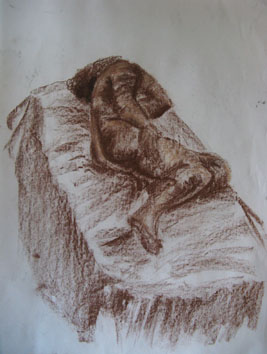 Life Drawing (2006) pastel and chalk on paper - Pui Lee