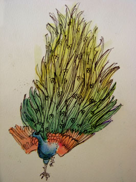 Untitled (peacock) (2005) ink and watercolour on paper - Pui Lee