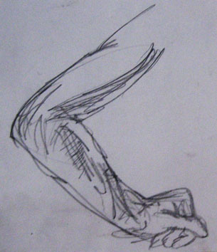 Study of Arm (2005) pencil on paper - Pui Lee