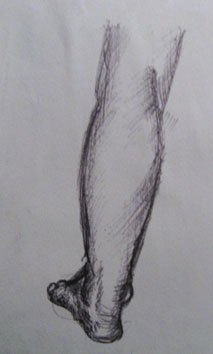 Study of back of leg (2005) biro on paper - Pui Lee