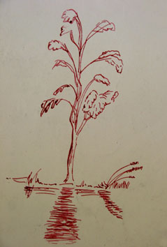 Tree (2004) ink on paper - Pui Lee